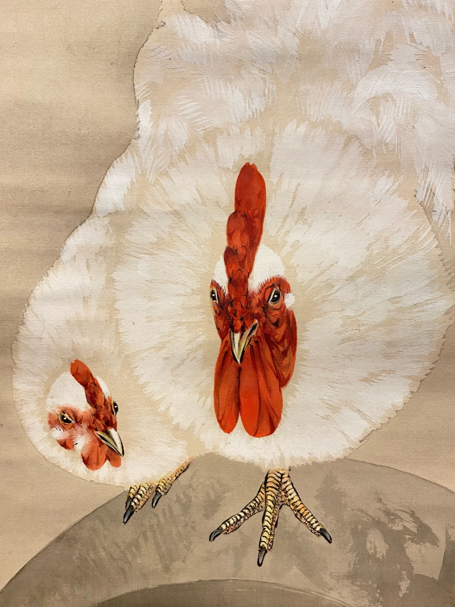 特選品薔薇に双鶏之図　絹本　掛軸　共箱　no72 花鳥、鳥獣