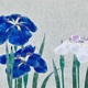 山口華楊 菖蒲 5