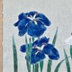 山口華楊 菖蒲 4