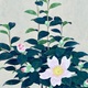 山口華楊 山茶花 4