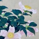 山口華楊 山茶花 8